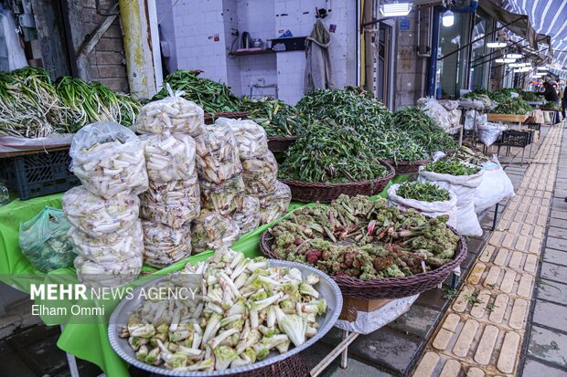 گیاهان بهاری سنندج