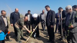 مرزبانی: بیش از ۹ نهالستان فعال در استان گیلان وجود دارد