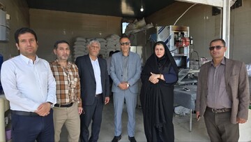 ۱۲ نانوایی در گناوه دوگانه سوز شدند