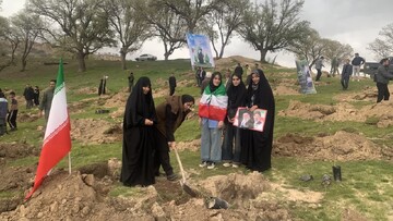 کاشت ۶۵ هزار اصله نهال امید در کهگیلویه و بویراحمد