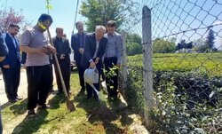 غرس ۱۶۸ نهال به یاد شهدای «شجره طیبه میناب» در شهرستان شفت