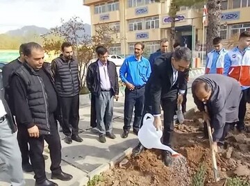 مدارس و هنرستان‌ها؛ پایگاه‌های اصلی آموزش فرهنگ درختکاری
