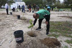 کاشت نهال به یاد شهدای مدرسه میناب در کیش