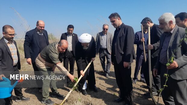 مرزبانی: بیش از ۹ نهالستان فعال در استان گیلان وجود دارد