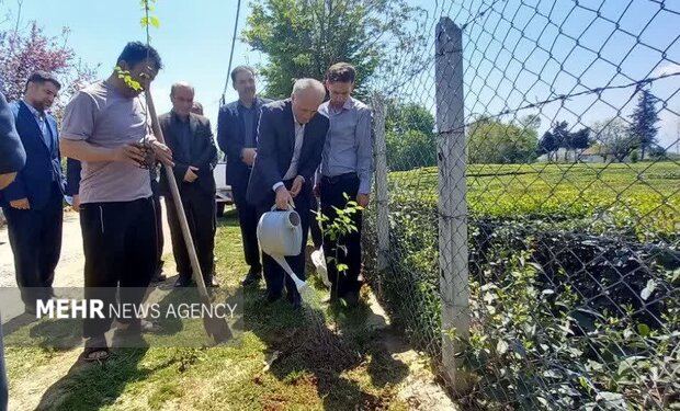 غرس ۱۶۸ نهال به یاد شهدای «شجره طیبه میناب» در شهرستان شفت