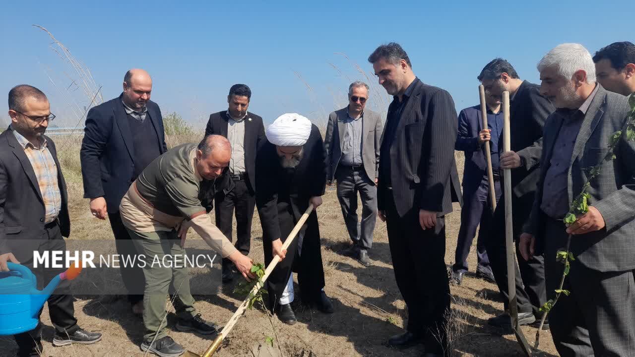 مدیرکل منابع طبیعی گیلان: بیش از ۹ نهالستان فعال در استان وجود دارد