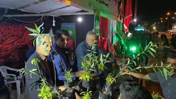 توزیع ۱۶۷ اصله نهال به یاد شهدای دانش‌آموز در گناوه