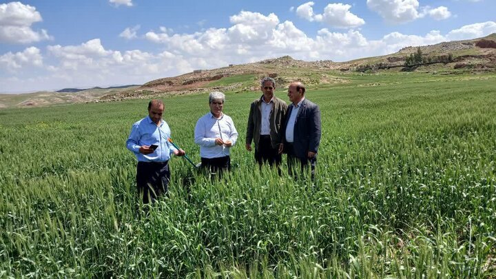 آموزش ۳۷۰۰ بهره بردار حوزه کشاورزی در شاهرود