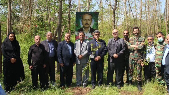 غرس ۵۱ اصله نهال به یاد دانشمند هستهای شهید «محمد رضا صدیقی صابر»