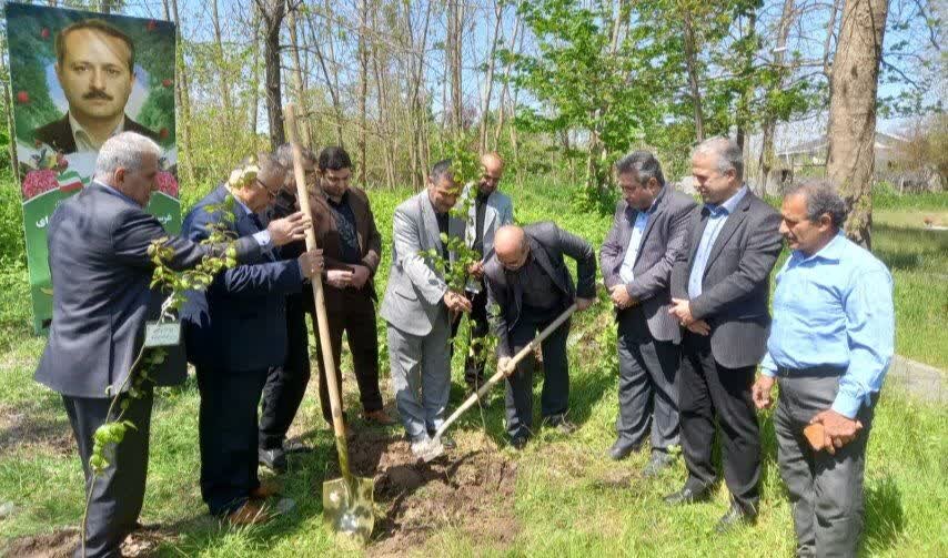 غرس ۵۱ اصله نهال به یاد دانشمند هستهای شهید «محمد رضا صدیقی صابر» غرس ۵۱ اصله نهال به یاد دانشمند هستهای شهید «محمد رضا صدیقی صابر»