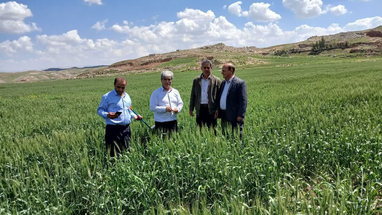 آموزش ۳۷۰۰ بهره بردار حوزه کشاورزی در شاهرود