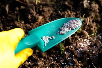 ۲۲ هزار تن انواع کودهای کشاورزی در استان بوشهر توزیع شد