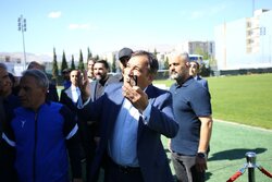 تاجرنیا: قرار شد تصمیم نهایی را فدراسیون فوتبال بگیرد