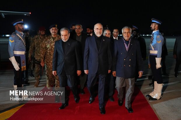 أبرز أعضاء الوفد الإيراني في باكستان