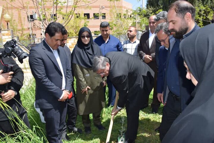 کاشت ۷.۵ میلیون نهال در لرستان