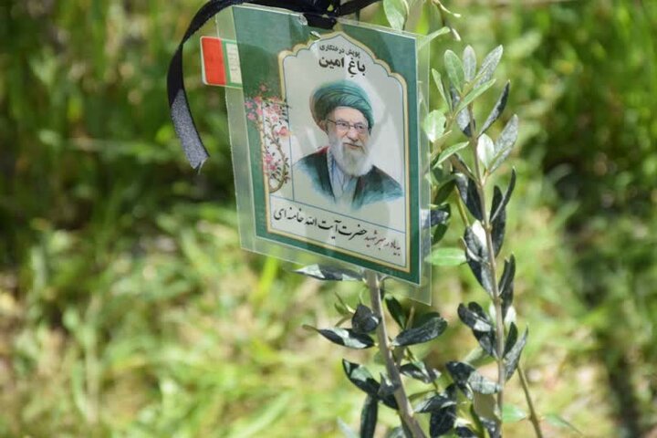 آغاز کاشت ۳۰۰۰ اصله نهال به یاد رهبر شهید در میاندرود