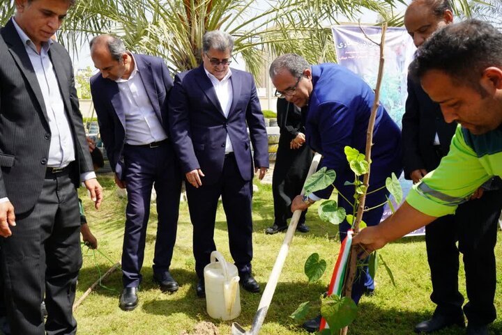 فرماندار بوشهر: درختکاری به نیابت از شهدا نماد سرافرازی است فرماندار بوشهر: درختکاری به نیابت از شهدا نماد سرافرازی است