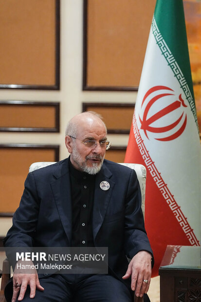 دیدار نخست وزیر پاکستان با رئیس مجلس شورای اسلامی