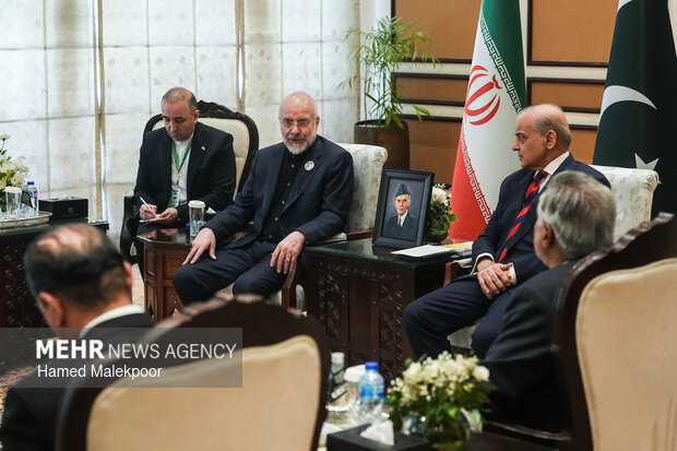 دیدار نخست وزیر پاکستان با رئیس مجلس شورای اسلامی