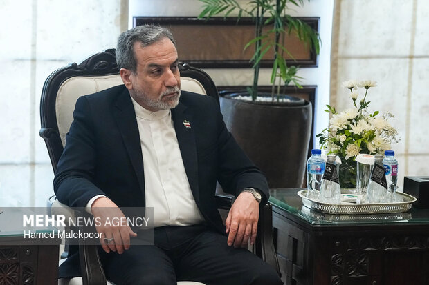 دیدار نخست وزیر پاکستان با رئیس مجلس شورای اسلامی