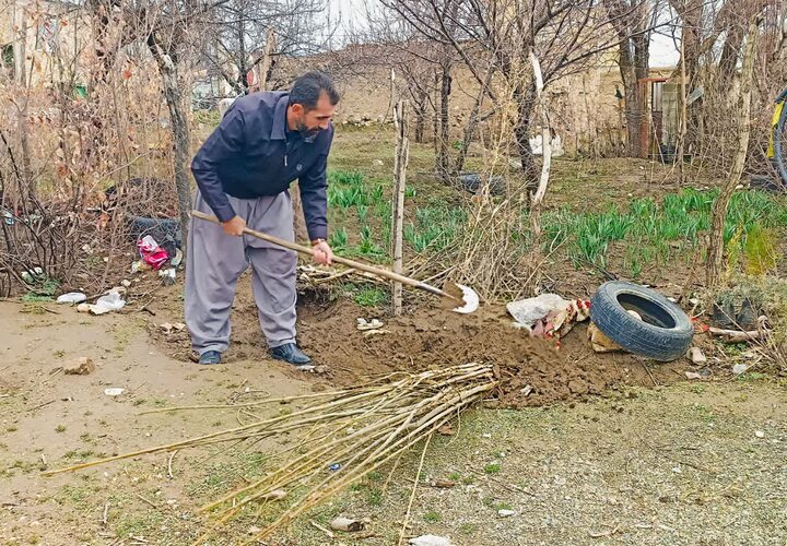 نهالهایی به نام شهدا در زاگرس؛کردستان و سهم آن از طرح یک میلیارد درخت