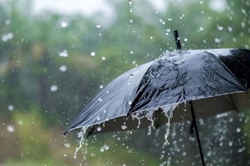 آغاز بارش باران در استان بوشهر از امروز