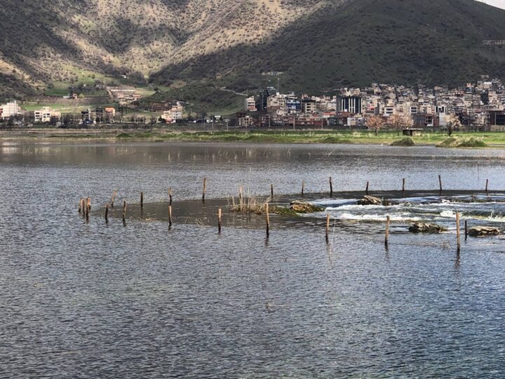 سرریز کم‌سابقه زریوار پس از بارش‌های پربرکت