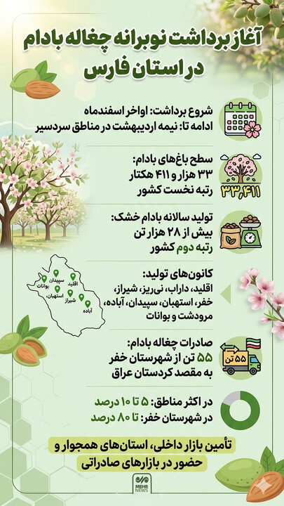 اینفوگرافیک؛ چغاله بادام فارس نوبرانه بهاری با ۵۵ تُن صادرات سالانه