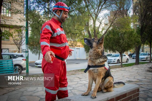 تمرین و آموزش سگ‌های جست‌وجوگر هلال احمر کرمانشاه