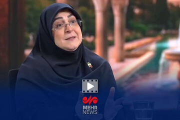 سخنگوی دولت: من به میناب رفتم و کربلای ایران را به چشم دیدم