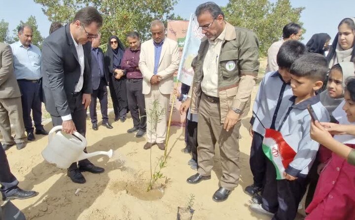 پویش ملی «سرو ایران» در تنگستان اجرا شد پویش ملی «سرو ایران» در تنگستان اجرا شد