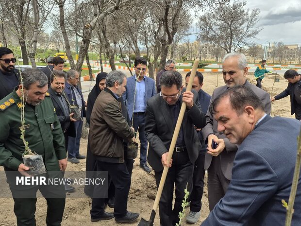 آغاز نهضت نهال امید در ورودی‌های اردبیل