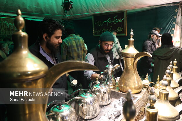 «باغ فردوس» پاتوق مردم و هنرمندان برای ایران