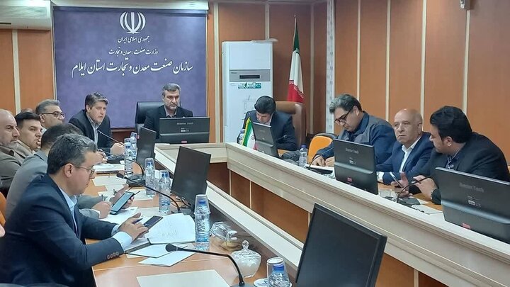 میرزاد: بیش از ۴۰ درصد تسهیلات اشتغال خانگی در ایلام پرداخت شد