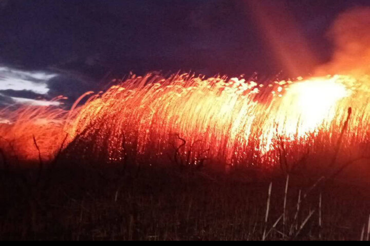 صفاری: آتش‌سوزی در تالاب داش‌دورگه نقده مهار شد