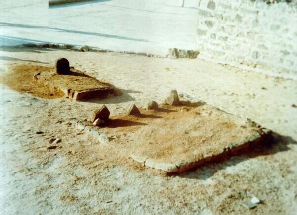 خاموشی شمع دانش در مدینه/ امامی که علم را از نو نوشت