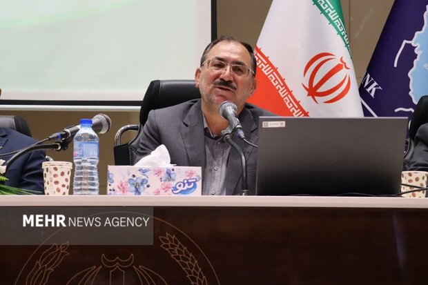 پاکمهر: اقتصاد مقاومتی نیازمند پشتوانه مالی واقعی است