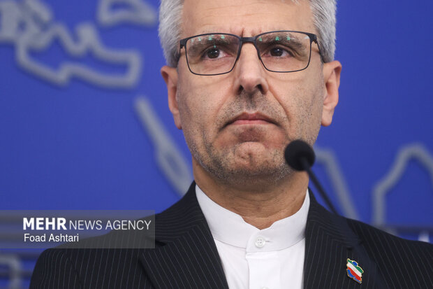 نشست خبری سخنگوی وزارت امور خارجه