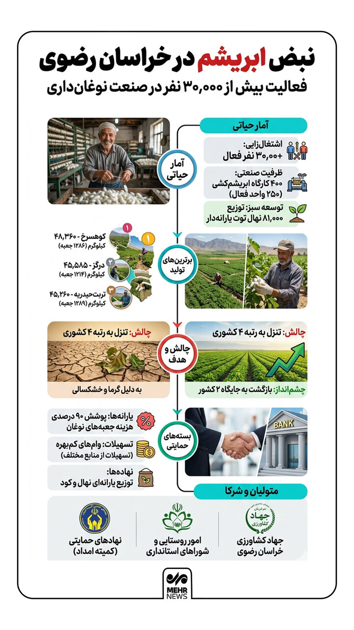 اینفوگرافیک؛فعالیت بیش از ۳۰هزار نفر در صنعت نوغان‌داری در خراسان رضوی