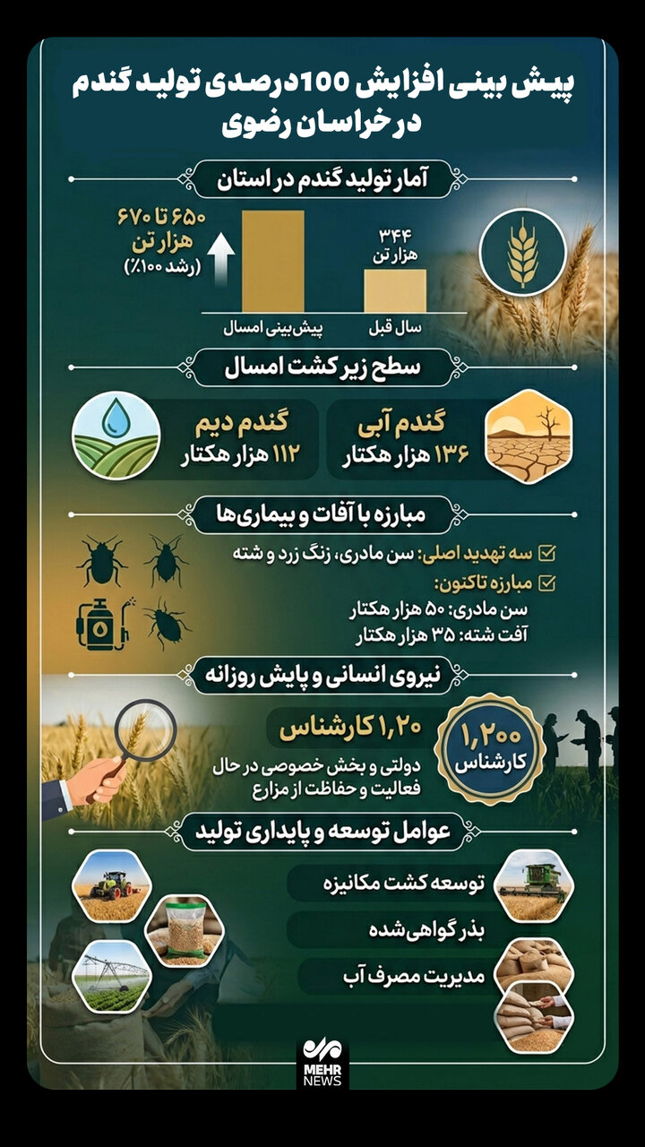 اینفوگرافیک؛ پیش بینی افزایش ۱۰۰ درصدی تولید گندم در خراسان رضوی