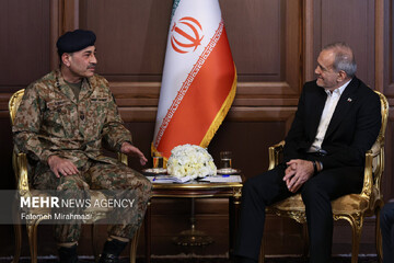 ایران خطے میں امن، استحکام اور برادرانہ تعلقات کا خواہاں ہے، صدر پزشکیان