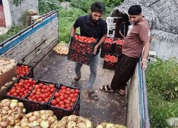 ارسال ۲۰۰تن انواع محصولات کشاورزی از هشتبندی برای پشتیبانی از رزمندگان