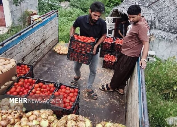 ارسال ۲۰۰تن انواع محصولات کشاورزی از هشتبندی برای پشتیبانی از رزمندگان