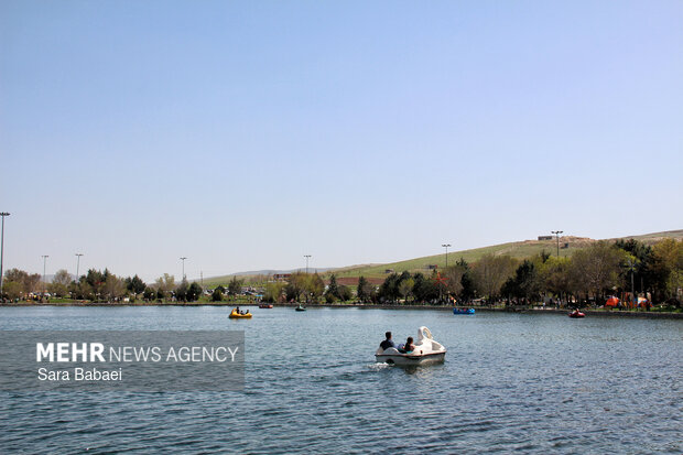 معجزه بهار در بستر پرآب سراب اساطیری نیلوفر کرمانشاه