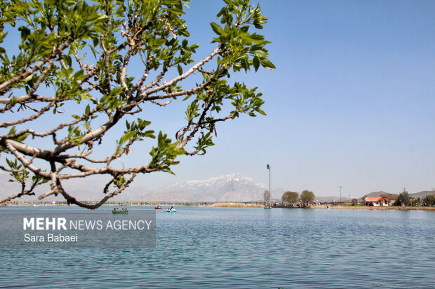 معجزه بهار در بستر پرآب سراب اساطیری نیلوفر کرمانشاه