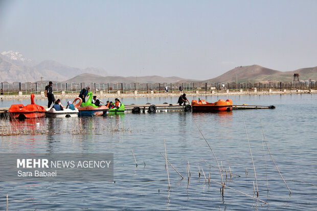 معجزه بهار در بستر پرآب سراب اساطیری نیلوفر کرمانشاه