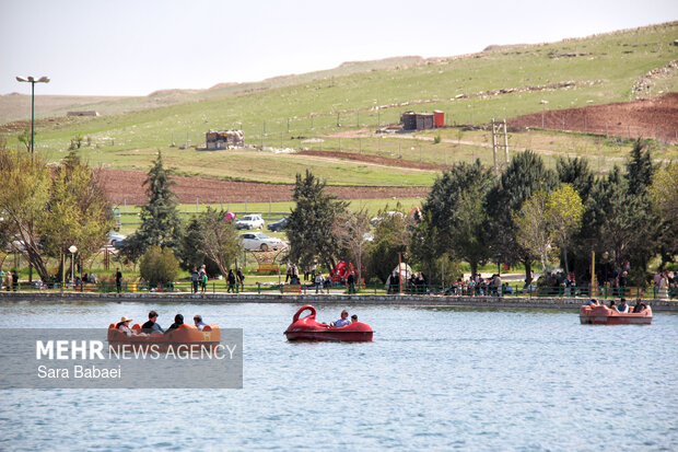 معجزه بهار در بستر پرآب سراب اساطیری نیلوفر کرمانشاه