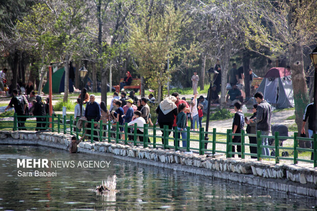 معجزه بهار در بستر پرآب سراب اساطیری نیلوفر کرمانشاه