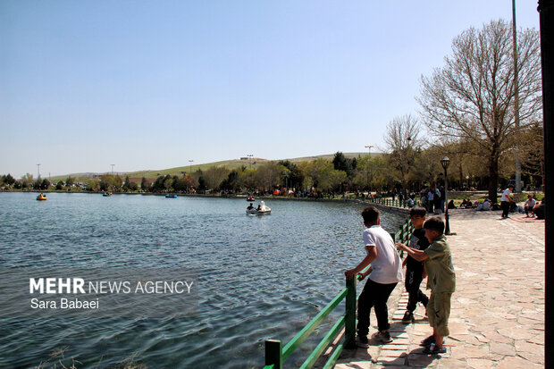 معجزه بهار در بستر پرآب سراب اساطیری نیلوفر کرمانشاه