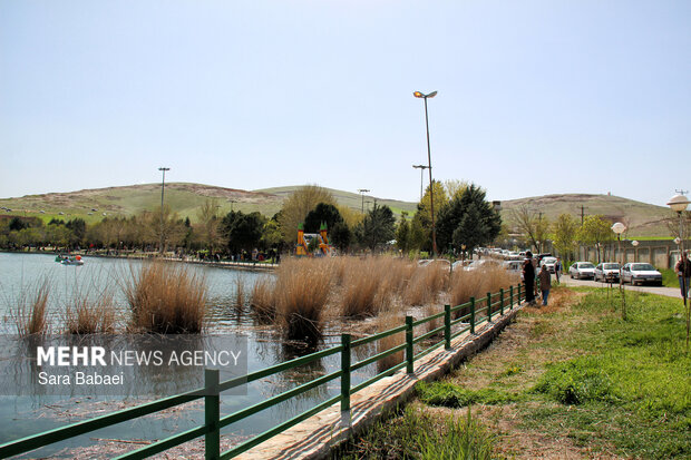 معجزه بهار در بستر پرآب سراب اساطیری نیلوفر کرمانشاه